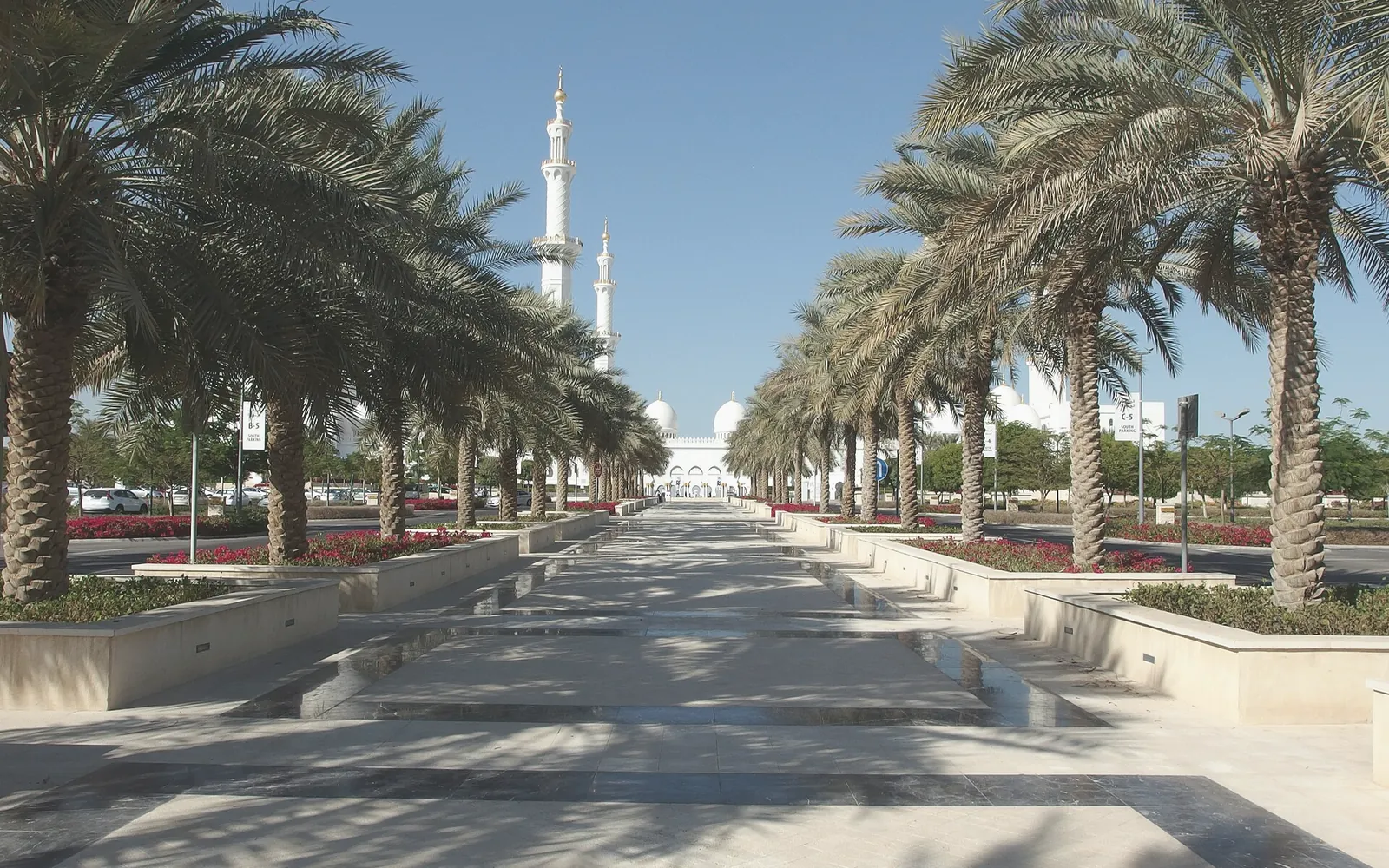 Digiloom digital marketing and web development for Abu Dhabi