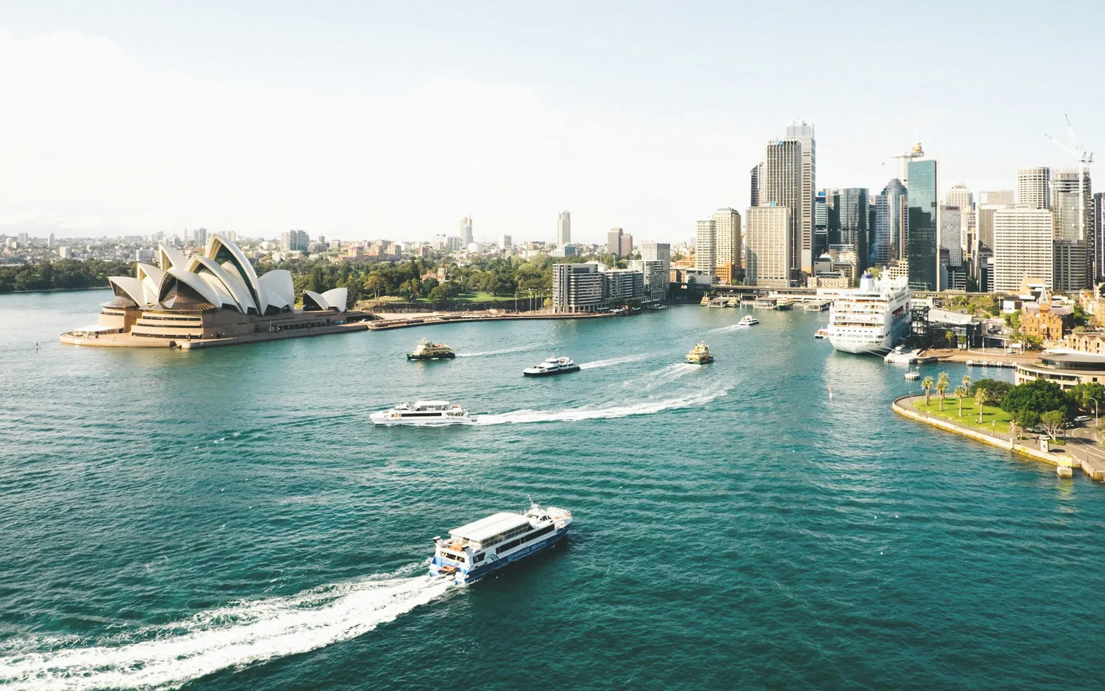 Digiloom digital marketing and web development for Australia