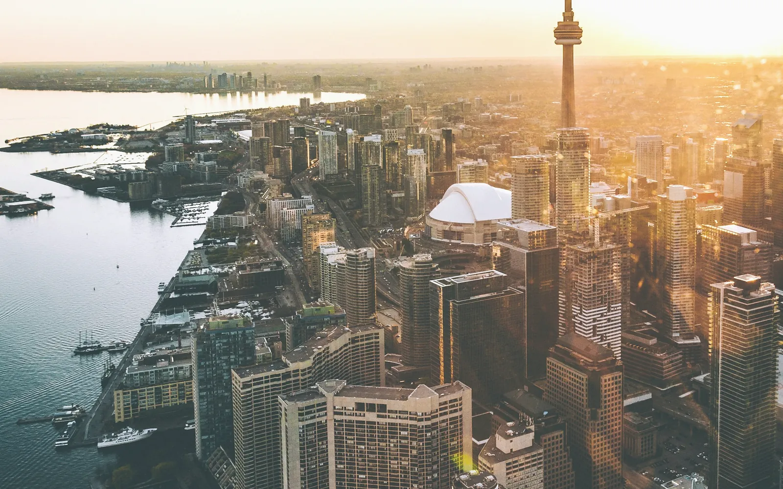 Digiloom digital marketing and web development for Canada