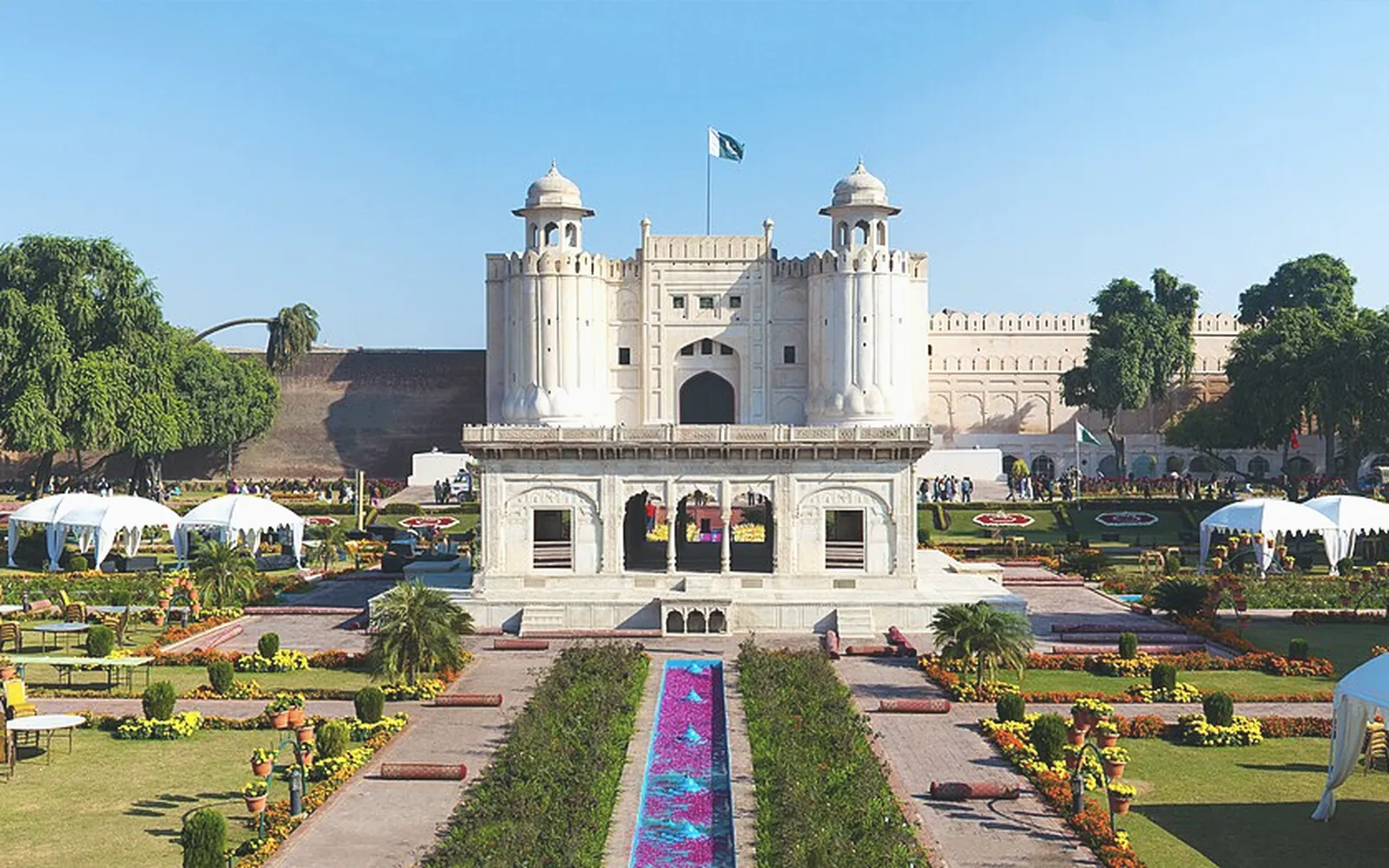Digiloom digital marketing and web development for Pakistan