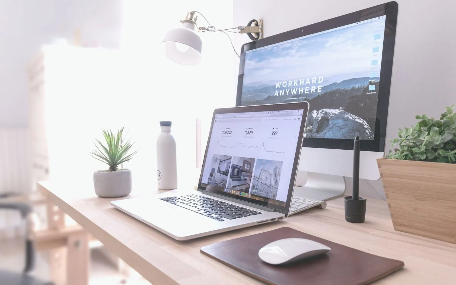 Google Ads Management at Digiloom — growth & performance for clients in Pakistan, the UK and the Gulf